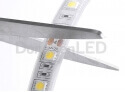 5050 SMD Flexible LED Strip - DC24v 5050 flexible led strip 300led for outdoor TF10-60W50