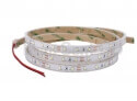 2835 SMD Flexible LED Strip - High power 2835 smd flexible led ribbon IP65 waterproof TF08-60W28