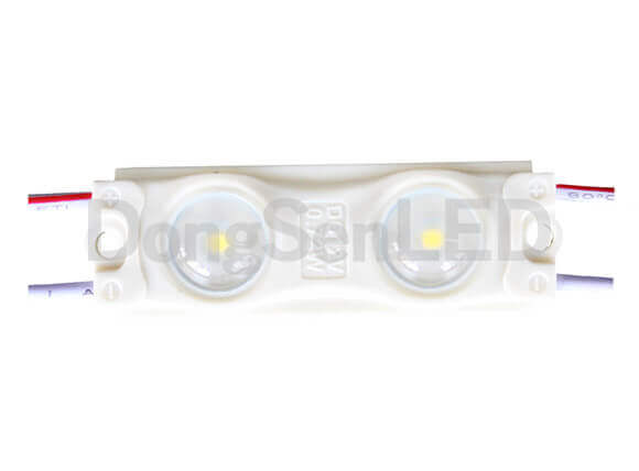 Economic LED Module - 2led 2835 inject led module with lens constant current drive MS-2W28