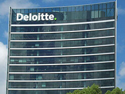 Project - Deloitte
