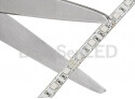 5050 SMD Flexible LED Strip - Color changing 5050 RGB flexible led strip TB10-30RGB50