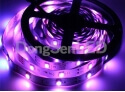 5050 SMD Flexible LED Strip - Color changing 5050 RGB flexible led strip TB10-30RGB50