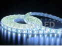 5050 SMD Flexible LED Strip - DC24v 5050 flexible led strip 300led for outdoor TF10-60W50