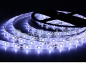 2835 SMD Flexible LED Strip - High power 2835 smd flexible led ribbon IP65 waterproof TF08-60W28