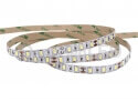 5630 flexible led strip - High power 5630 smd flexible led strip light 16.4ft(5m) TB10-60W56