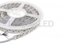RGBW Flexible LED Strip - Integrated RGBW flexible led strip 4 chip in 1 led 19.2w/m DC24v TB12-60RGBW50