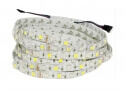 RGBW Flexible LED Strip - RGBW flexible led strip 30 RGB+30 white led TB10-60RGBW50