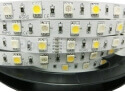 RGBW Flexible LED Strip - RGBW flexible led strip 30 RGB+30 white led TB10-60RGBW50