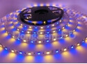 RGBW Flexible LED Strip - RGBW flexible led strip 30 RGB+30 white led TB10-60RGBW50