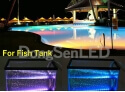 3528 SMD Flexible LED Strip - IP68 3528 flexible led strip for cove lighting TF08-120W35P8