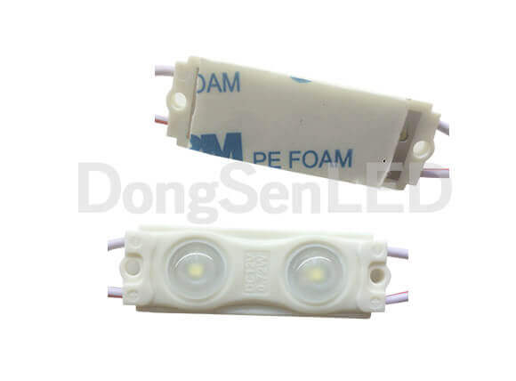 Economic LED Module - 2led 2835 inject led module with lens constant current drive MS-2W28