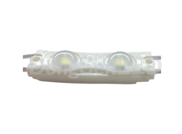 Economic LED Module - 2led 2835 inject led module with lens constant current drive MS-2W28