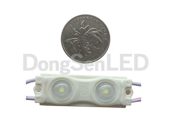 Economic LED Module - 2led 2835 inject led module with lens constant current drive MS-2W28