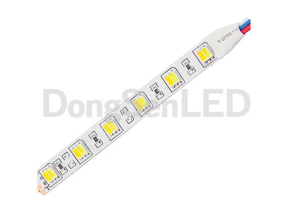 CCT Adjustable Flexible Led Strip - CCT Adjustable 5050 Flexible Led Strips 60led/m WW+CW TB10-60DC50