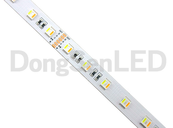 CCT Adjustable Flexible Led Strip - 5 Chip in 1 5050 Flexible RGB CCT adjustable LED Strips RGB+WW+PW TB12-60RGBCCT50