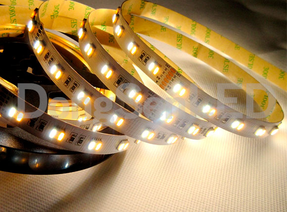 CCT Adjustable Flexible Led Strip - 5 Chip in 1 5050 Flexible RGB CCT adjustable LED Strips RGB+WW+PW TB12-60RGBCCT50