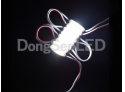 Mini LED Module - Mini LED Module (P/N: MA-3W30S)